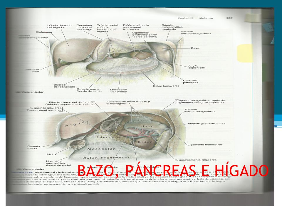 Extirpación de la vesícula biliar y el bazo
